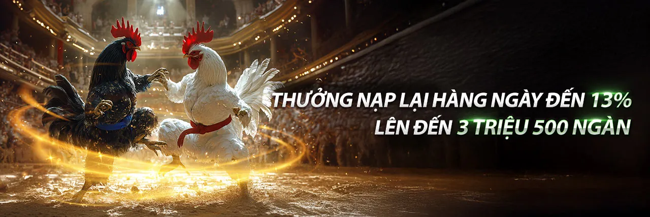 Hình ảnh chính cá cược thể thao ae888co win