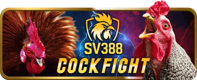 Hình ảnh minh họa chiến lược cá cược thể thao tại ae888co win